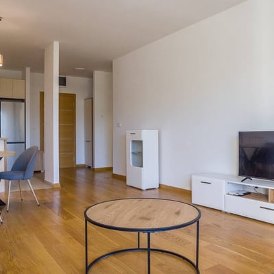 Rental of a modern 2-room apartment, 62 m², New Belgrade, Belgrade, Serbia